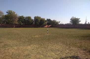 College Ground