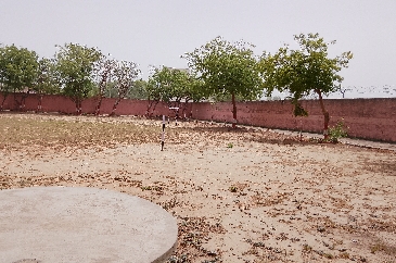 Bicycle & Footpath Way-2